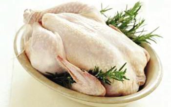 خوردنی ها و نخوردنی های مرغ