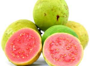 خواص گواوا