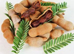 خواص تمر هندی