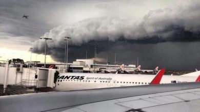 ابرهای قفسه ای سیدنی