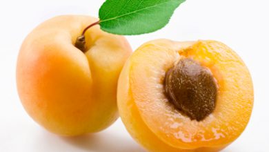 خواص زردآلو