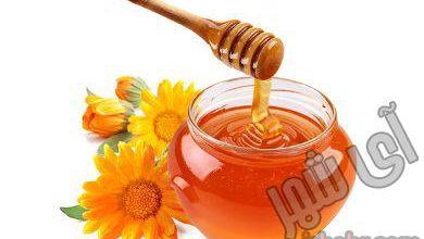 ناگفته های عسل