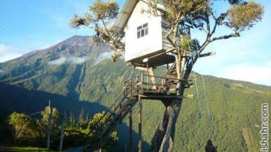 ترسناک ترین تاب دنیا