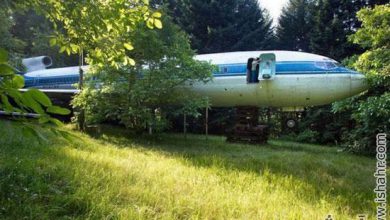 زندگی یک خانواده در هواپیما