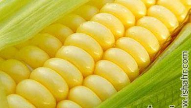 خواص ذرت