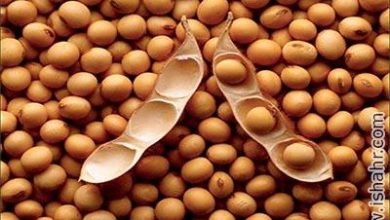 خواص سویا
