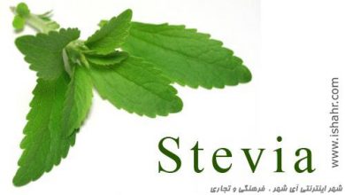 استویا،گیاهی بسیار شیرین