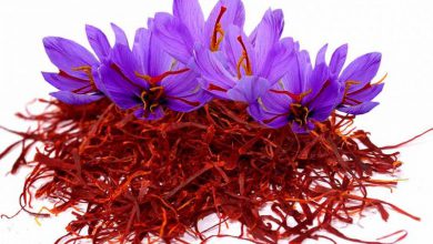 درمان افسردگی با زعفران