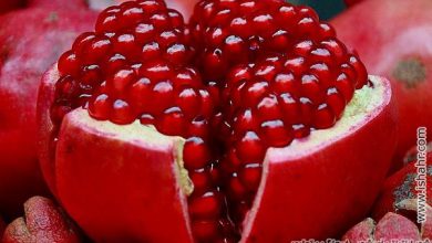 خواص میوه انار