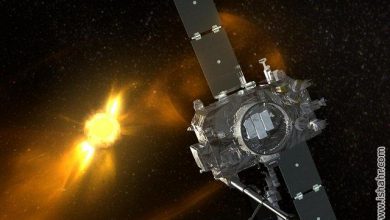 تاثیر مریخ بر مغز انسان