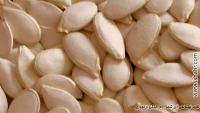 خواص تخمه کدو