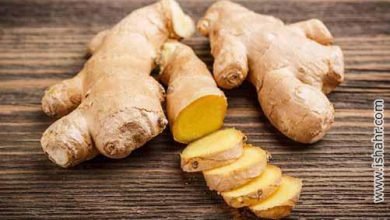 چه کسانی نباید زنجبیل بخورند