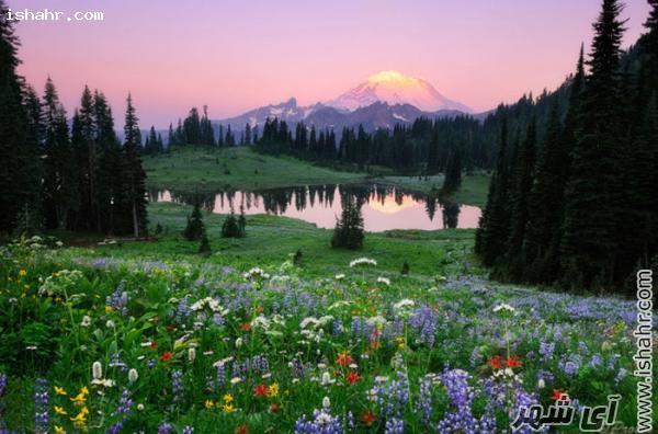 دریاچه تیپسو(Tipsoo) ، واشنگتن، ایالات متحده