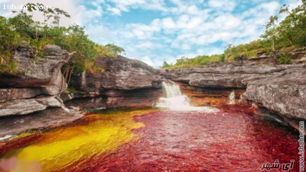 رودخانه ی کانوکریستالس در کلمبیا