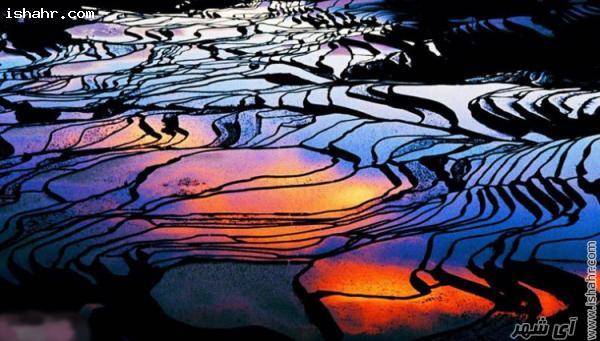 زمین های برنج تراس – شهر یون یانگ در چین