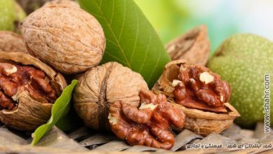 کاهش بیماری قلبی و فشار خون با گردو